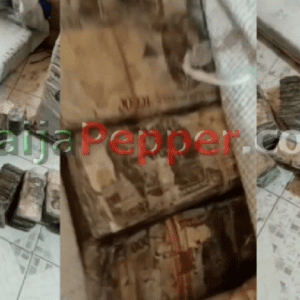 Following the CBN's release of newly redesigned Naira notes, bags of damaged Naira notes were found (video) - NaijaPepper