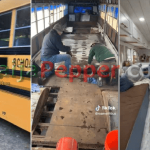 Family Buys Long School Bus for N2m, Converts It to Flat, Installs Kitchen Cabinet, Beds to Look Like “Palace” - NaijaPepper