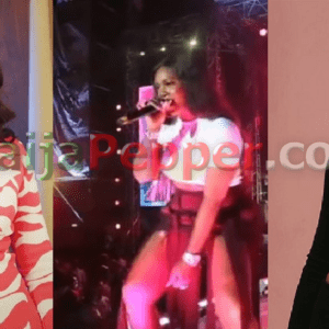 “No Shame at your Age” – Nigerians Drag Tiwa Savage for Illustrating the Style she did in her Leeaked Trending T#pe [Video] - NaijaPepper
